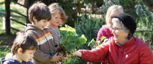 Holistic education, schools nevada county, better schools, consciousness learning, nature education, living wisdom school, education for life, yoga meditation school, teen yoga camp, teen camps