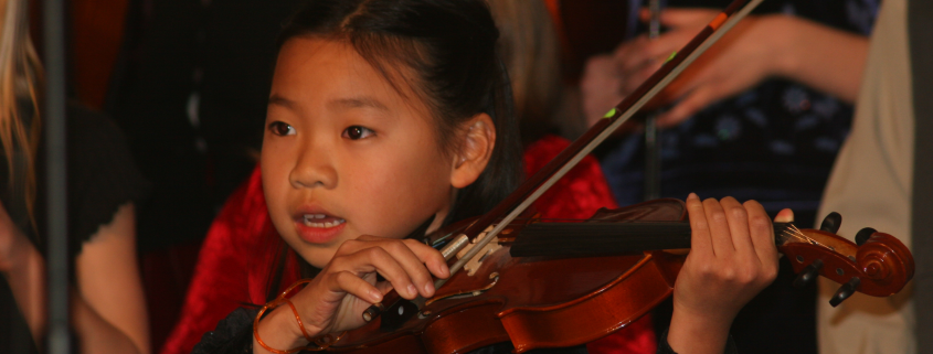 Holistic education, schools nevada county, better schools, consciousness learning, nature education, living wisdom school, education for life, yoga meditation school, teen yoga camp, teen camps