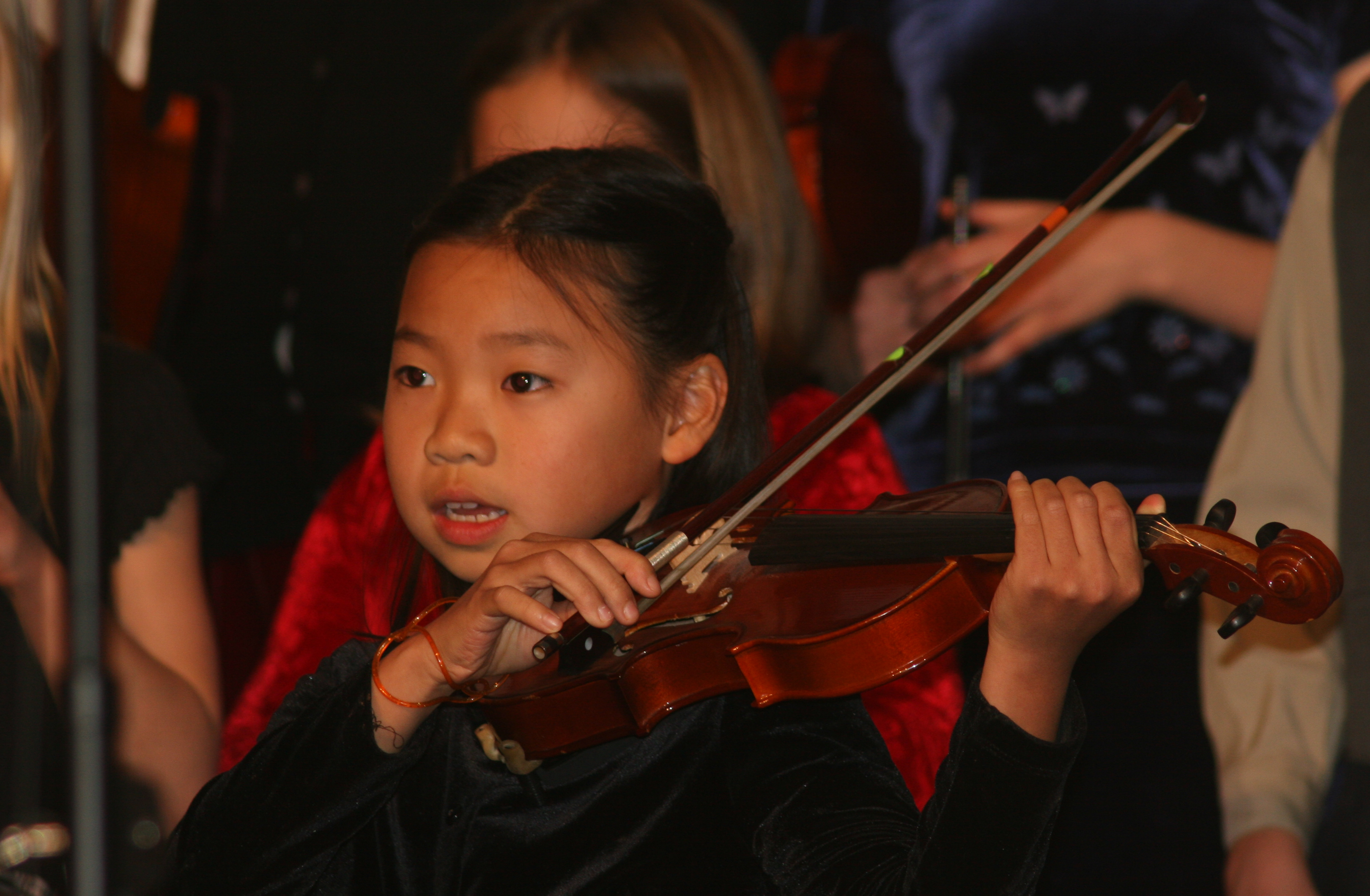 Holistic education, schools nevada county, better schools, consciousness learning, nature education, living wisdom school, education for life, yoga meditation school, teen yoga camp, teen camps