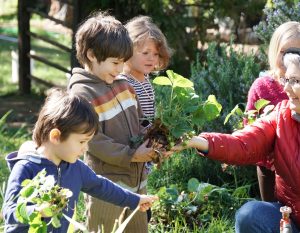 Holistic education, schools nevada county, better schools, consciousness learning, nature education, living wisdom school, education for life, yoga meditation school, teen yoga camp, teen camps