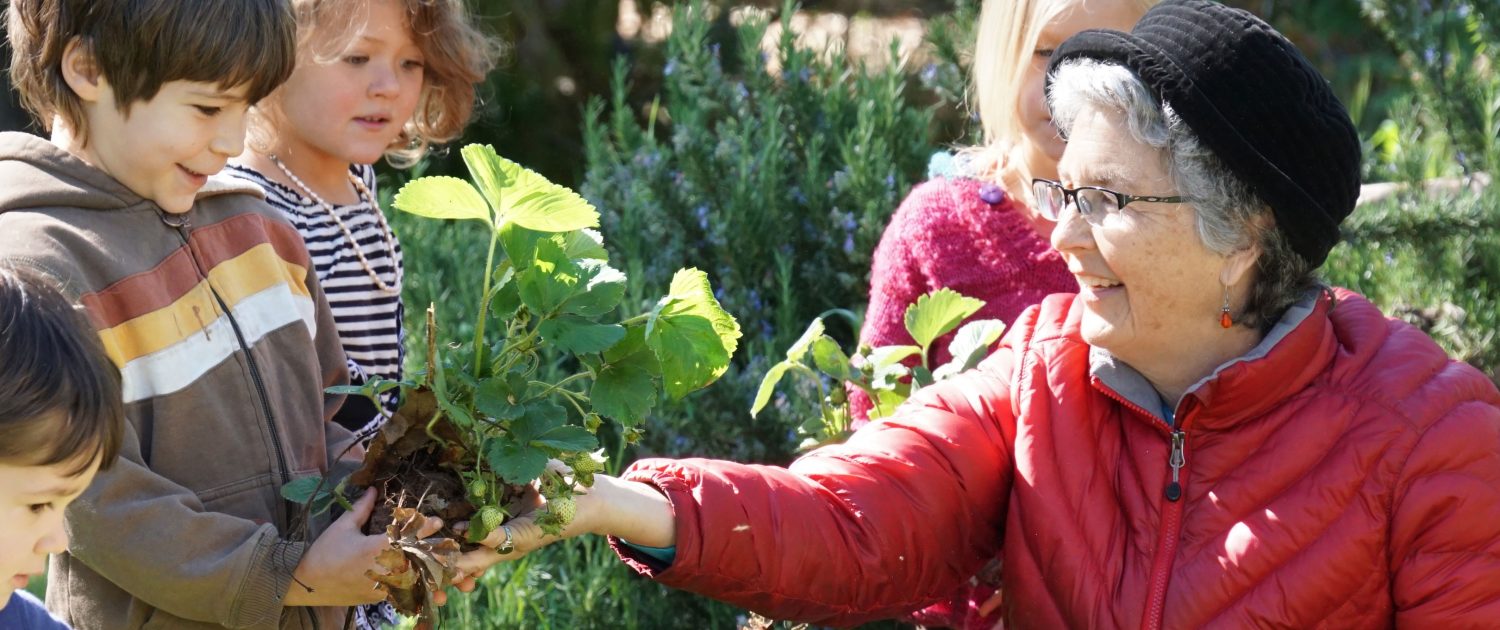 Holistic education, schools nevada county, better schools, consciousness learning, nature education, living wisdom school, education for life, yoga meditation school, teen yoga camp, teen camps