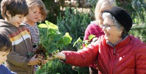 Holistic education, schools nevada county, better schools, consciousness learning, nature education, living wisdom school, education for life, yoga meditation school, teen yoga camp, teen camps