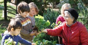 Holistic education, schools nevada county, better schools, consciousness learning, nature education, living wisdom school, education for life, yoga meditation school, teen yoga camp, teen camps