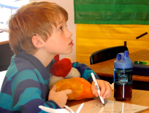 Holistic education, schools nevada county, better schools, consciousness learning, nature education, living wisdom school, education for life, yoga meditation school, teen yoga camp, teen camps