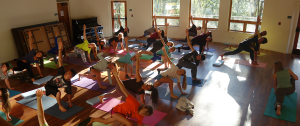 Holistic education, schools nevada county, better schools, consciousness learning, nature education, living wisdom school, education for life, yoga meditation school, teen yoga camp, teen camps