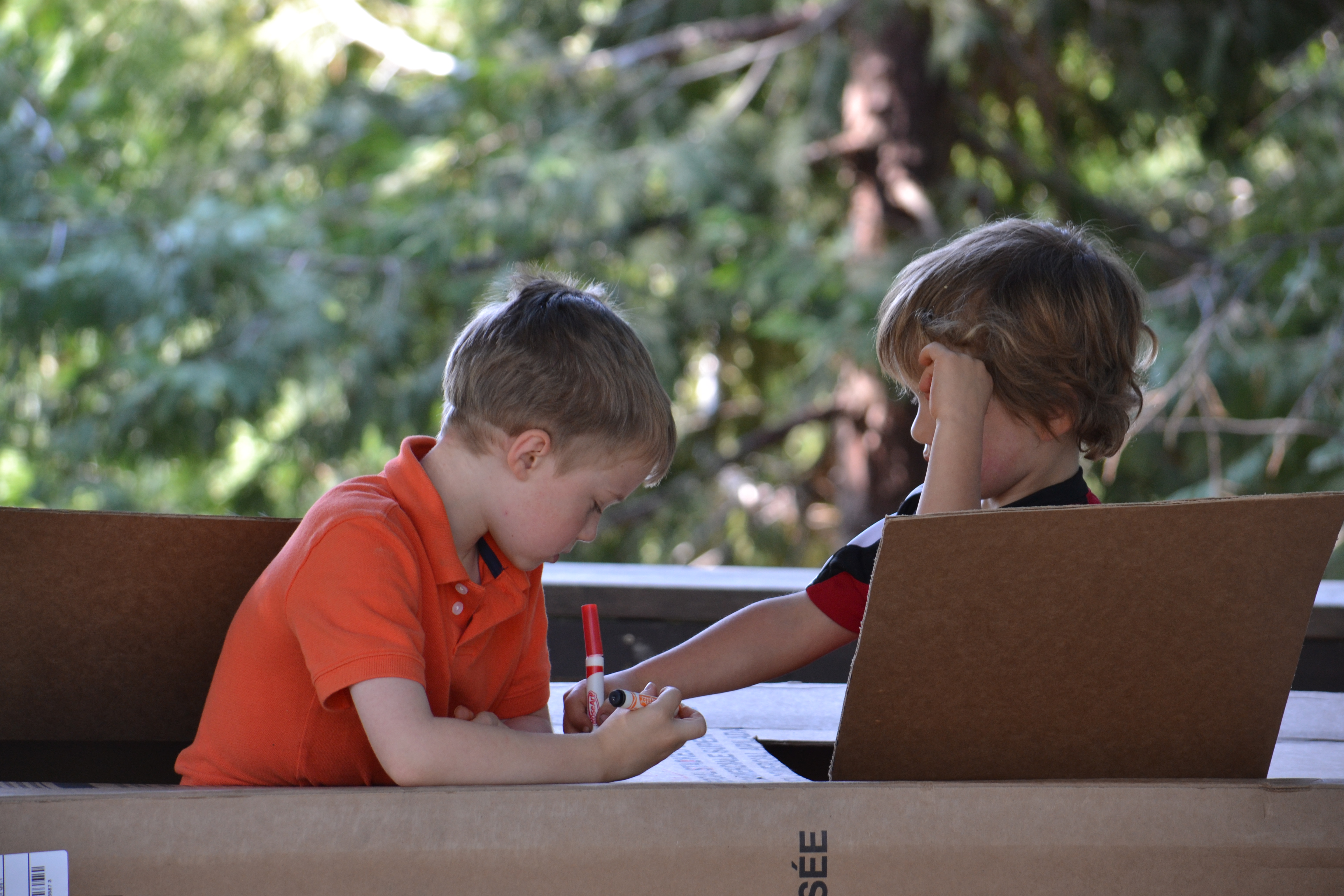 Holistic education, schools nevada county, better schools, consciousness learning, nature education, living wisdom school, education for life, yoga meditation school, teen yoga camp, teen camps