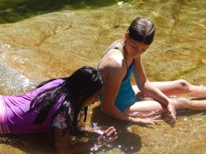 Holistic education, schools nevada county, better schools, consciousness learning, nature education, living wisdom school, education for life, yoga meditation school, teen yoga camp, teen camps