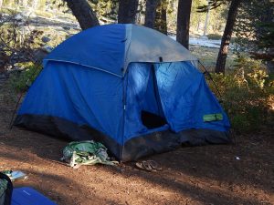 Holistic education, schools nevada county, better schools, consciousness learning, nature education, living wisdom school, education for life, yoga meditation school, teen yoga camp, teen camps