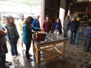 Holistic education, schools nevada county, better schools, consciousness learning, nature education, living wisdom school, education for life, yoga meditation school, teen yoga camp, teen camps