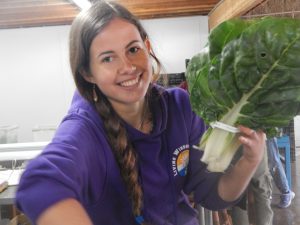 Holistic education, schools nevada county, better schools, consciousness learning, nature education, living wisdom school, education for life, yoga meditation school, teen yoga camp, teen camps