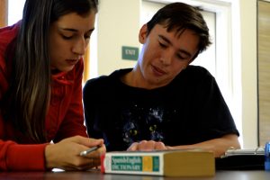 Holistic education, schools nevada county, better schools, consciousness learning, nature education, living wisdom school, education for life, yoga meditation school, teen yoga camp, teen camps