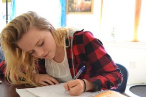 Holistic education, schools nevada county, better schools, consciousness learning, nature education, living wisdom school, education for life, yoga meditation school, teen yoga camp, teen camps