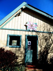 thrift store north san juan, Holistic education, schools nevada county, better schools, consciousness learning, nature education, living wisdom school, education for life, yoga meditation school, teen yoga camp, teen camps