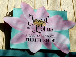 Holistic education, schools nevada county, living wisdom school, education for life, yoga meditation school, teen yoga camp, teen camps